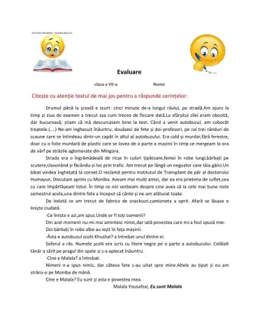 Evaluare VII CES