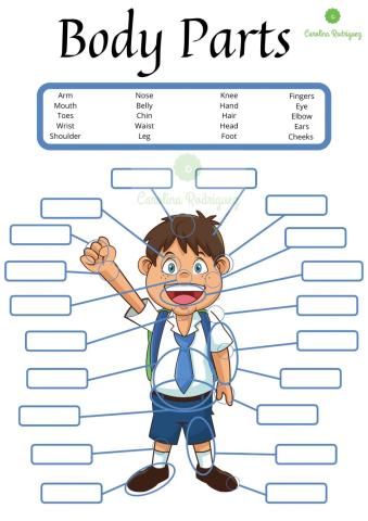 Body Parts