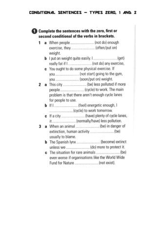 Conditional Sentences