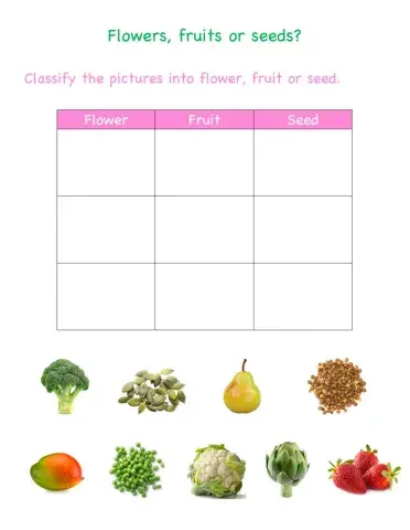 Flowers, fruits, or seeds?