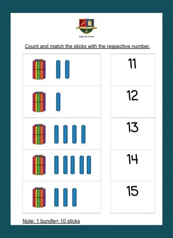 Bundle Counting 11-20
