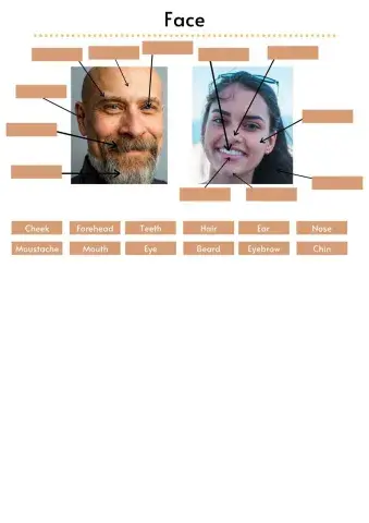 Face