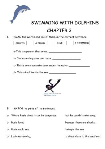 Swimming with Dolphins