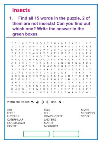 Insects Wordsearch