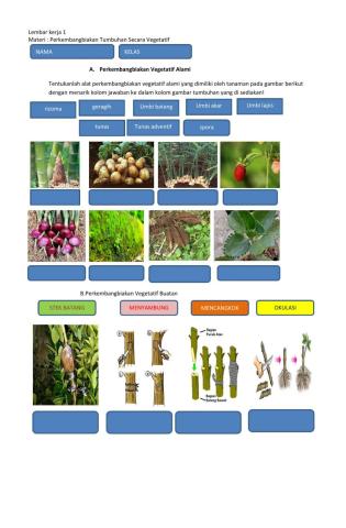 Tugas 1 bab 2 kelas 9