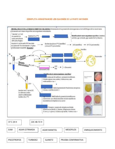 Analisis microbiologico