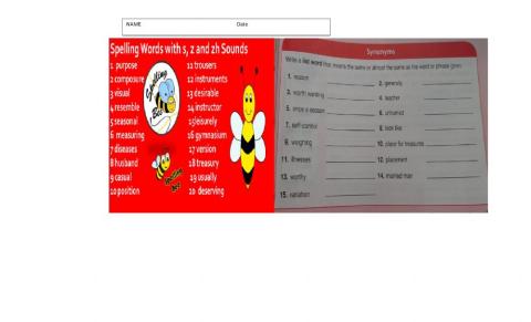 Spelling  Words with s, zand zh Sounds