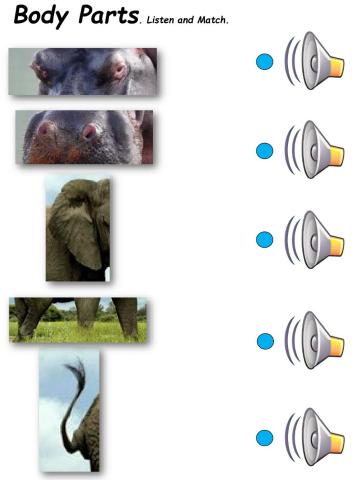 Animals and body parts