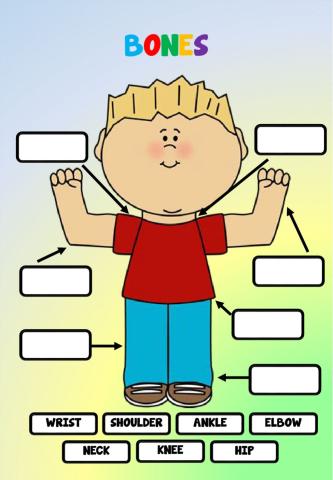 Science Unit 1 Review