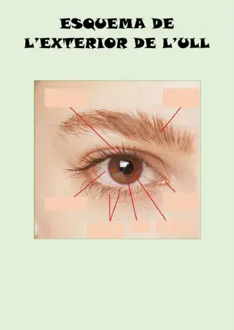 Exterior - interior ulls