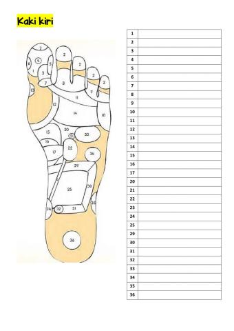 Titik refleksologi kaki kiri