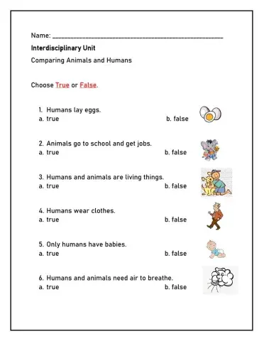Comparing Humans and animals