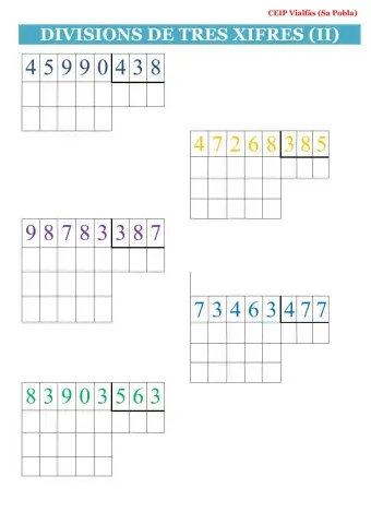 Divisions amb tres xifres II