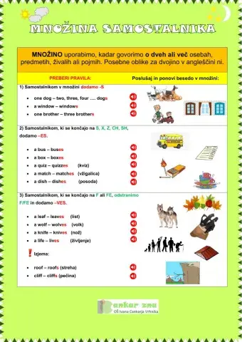 Množina samostalnika