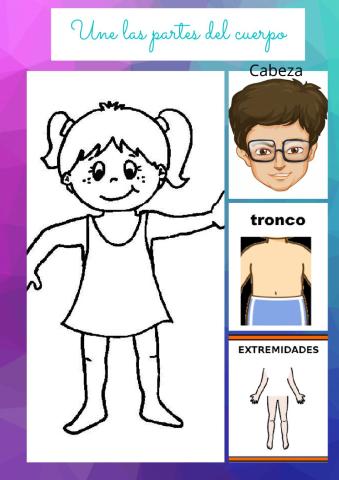 Partes del cuerpo