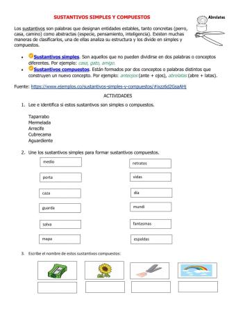 Sustantivos Simples, compuestos, derivados