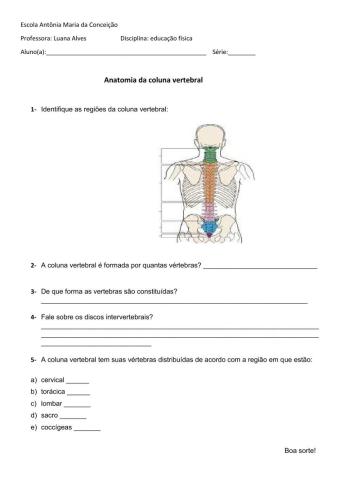 Anatomia da coluna vertebra