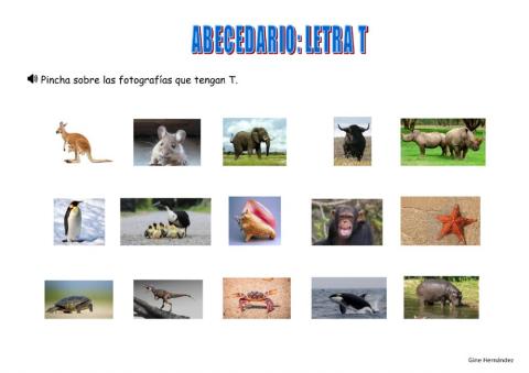 Palabras con t