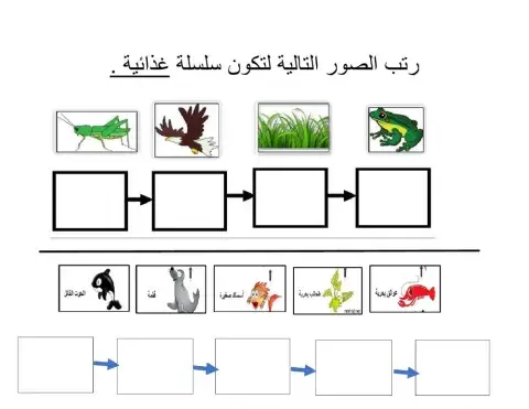 السلسلة الغذائية