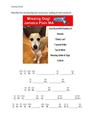 Describe the missing dog
