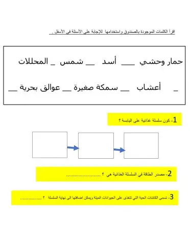 السلسلة الغذائية 3