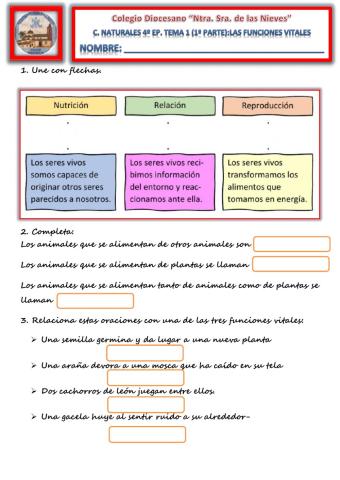 Tema 1. (1ª Parte). Las funciones vitales en los seres vivos.