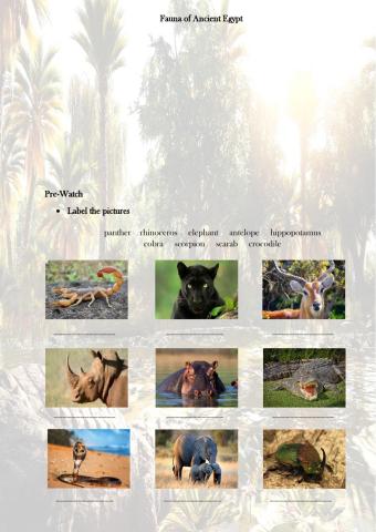Fauna of Ancient Egypt