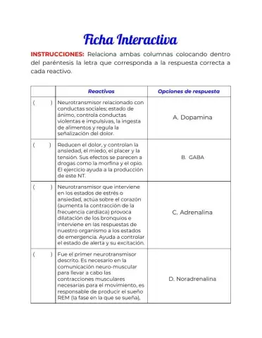 Neurotransmisores
