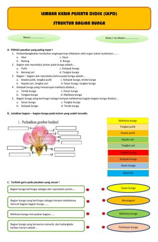 Alat perkembangbiakan tumbuhan angiospermae