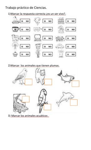 Trabajo práctico de ciencias 1° grado