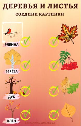 Осенние деревья и листья