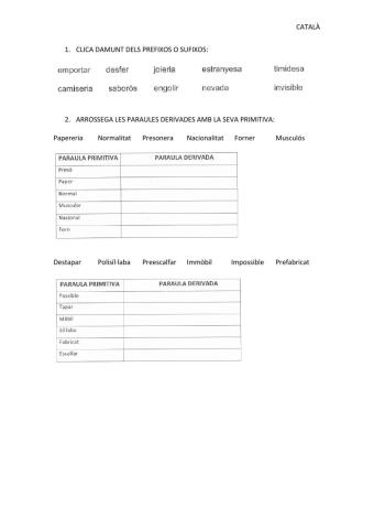 Primitives i Derivades