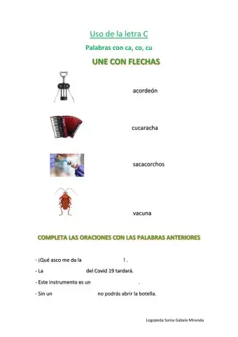 Palabras con ca, co, cu