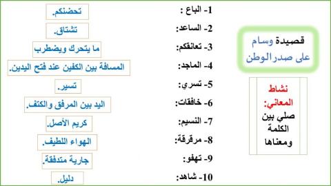 معاني قصيدة وسام على صدر الوطن