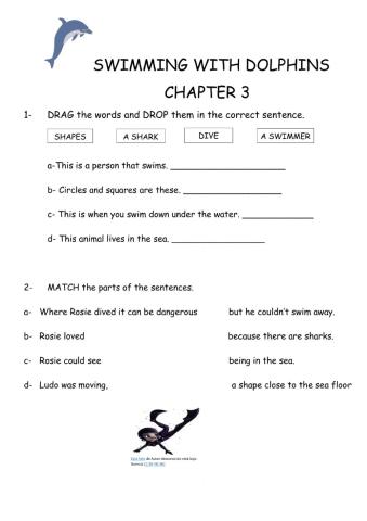 Swimming with Dolphins