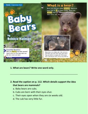 Baby Bears1