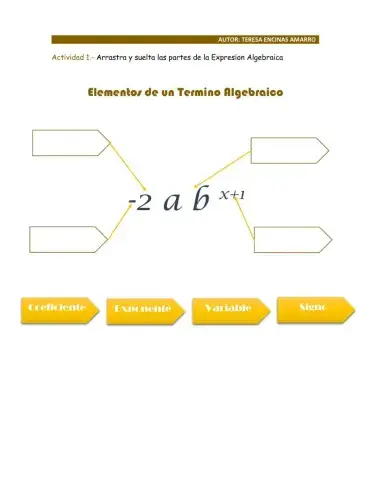 Elementos de un Termino Algebraico
