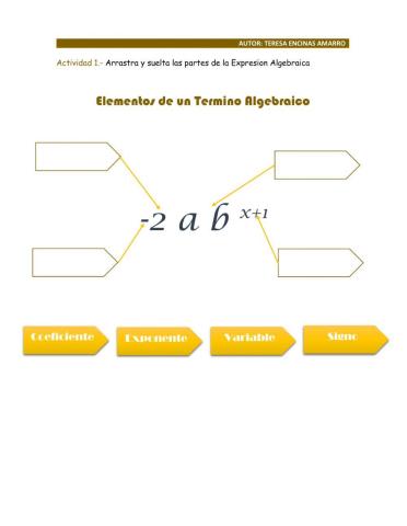 Elementos de un Termino Algebraico
