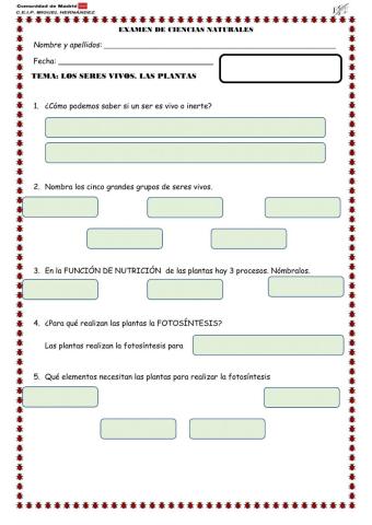 Prueba de evaluación tema 1: las plantas