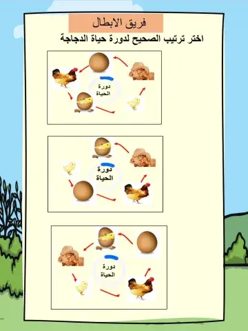 التحدي دورة الحياة فريق