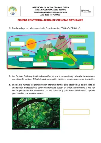 PRUEBA CONTEXTUALIZADA DE CIENCIAS NATURALES. GRADO 5F