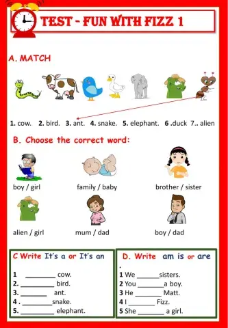 Fun with Fizz 1 test 1