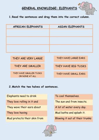 Elephants II
