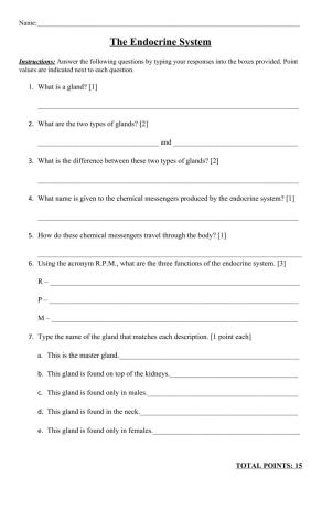 The Endocrine System