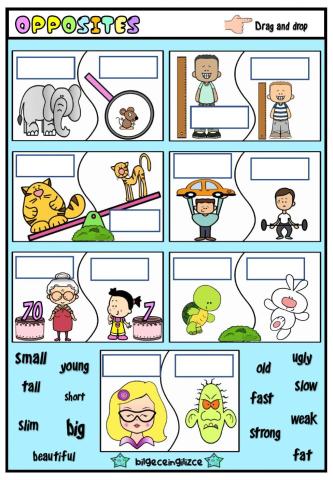 Opposites (Drag drop)