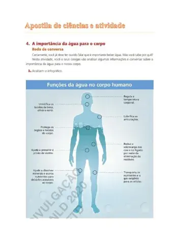 A importância da água para o corpa