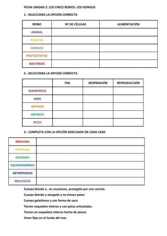 01.- Repaso unidad 2. Los cinco reinos