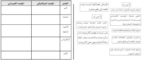الهضم في الامعاء