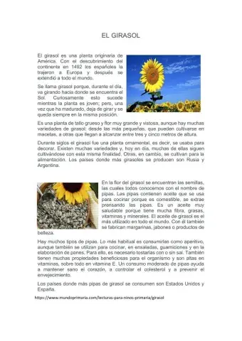Ejercicio de Comprensión Lectora: El Girasol