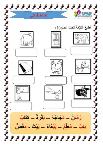 كلمات و صور